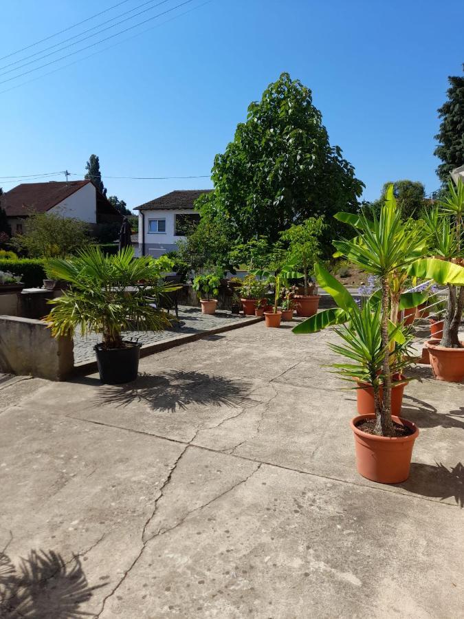 Ferienwohnung "Zum Alten Kuhstall" Όμπερχάουζεν Εξωτερικό φωτογραφία