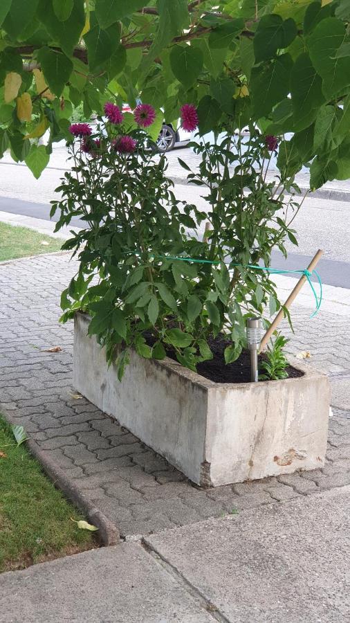 Ferienwohnung "Zum Alten Kuhstall" Όμπερχάουζεν Εξωτερικό φωτογραφία
