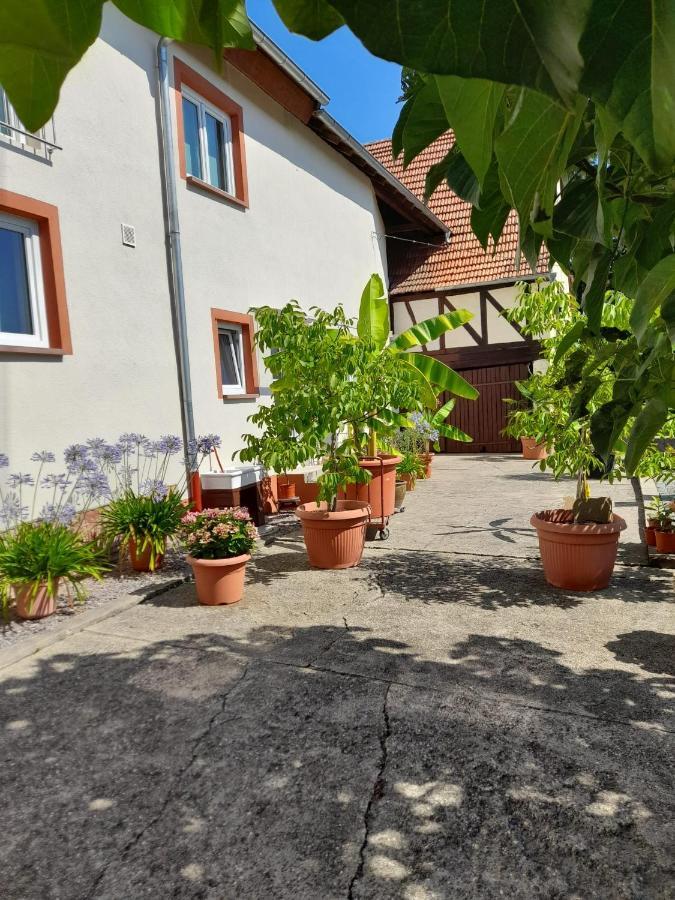 Ferienwohnung "Zum Alten Kuhstall" Όμπερχάουζεν Εξωτερικό φωτογραφία