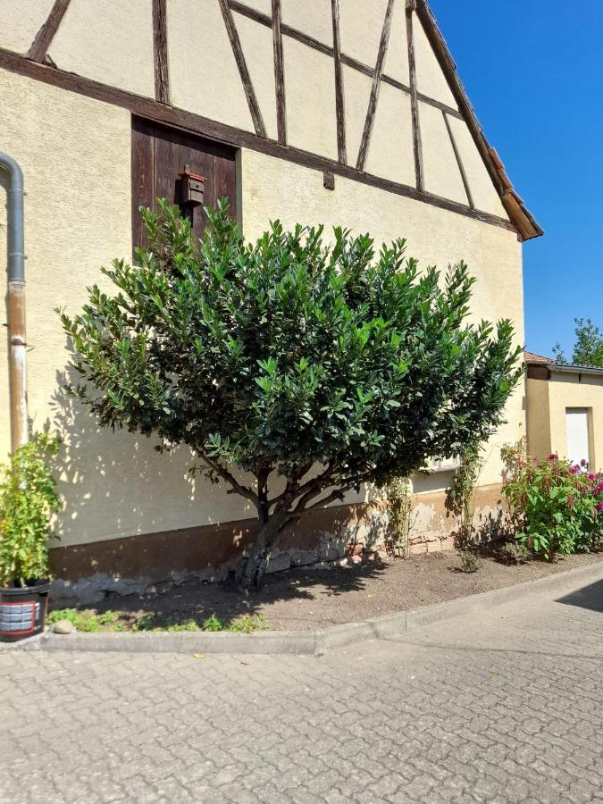 Ferienwohnung "Zum Alten Kuhstall" Όμπερχάουζεν Εξωτερικό φωτογραφία