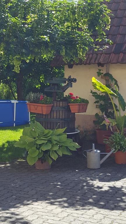 Ferienwohnung "Zum Alten Kuhstall" Όμπερχάουζεν Εξωτερικό φωτογραφία
